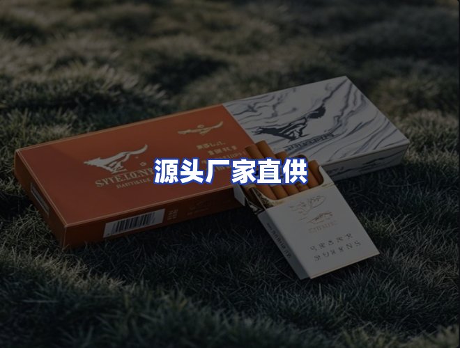 专业团队